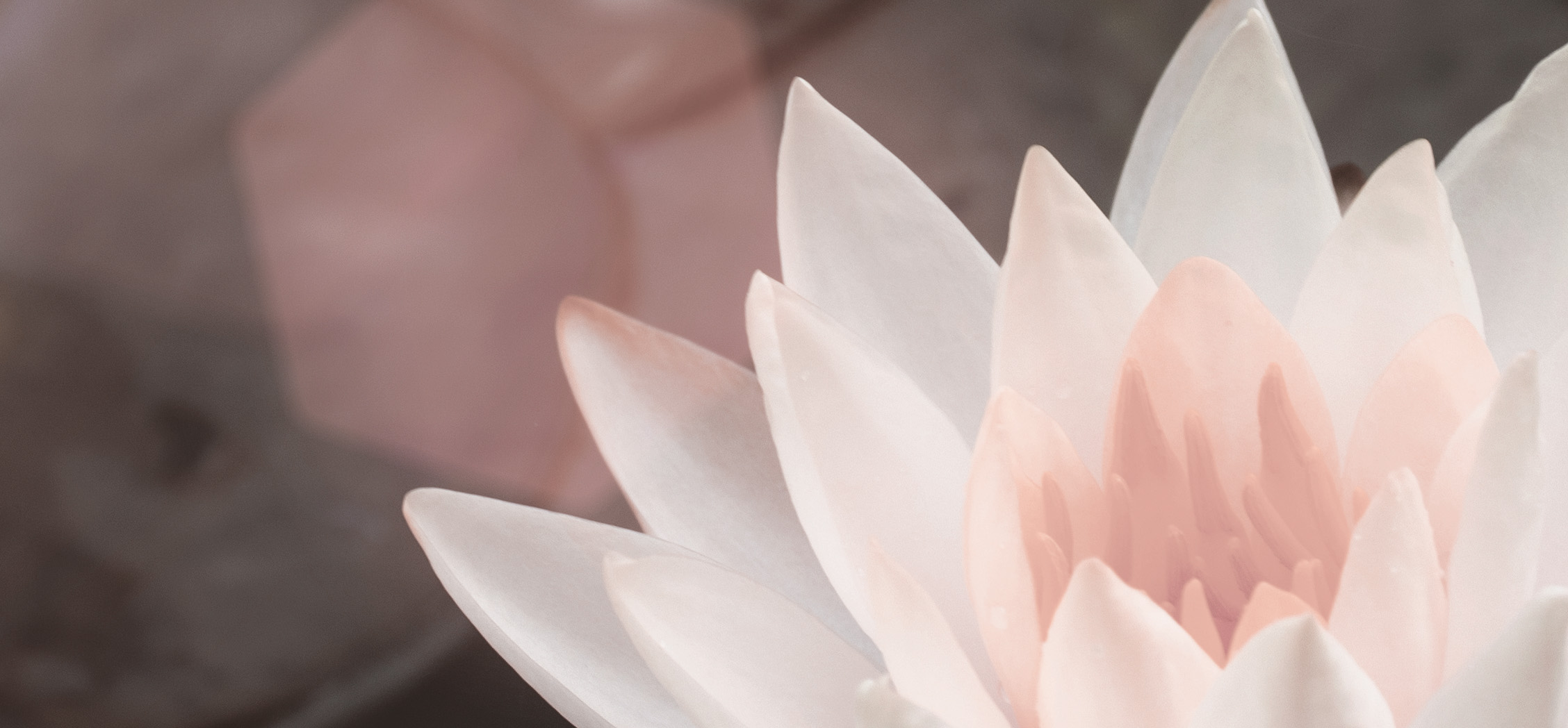 Meditációs Workshop